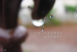 重庆纯出女孩招聘无中介+日结万元无任何费用无任务(重庆纯出女孩日结万元招聘：无中介无费用无任务)